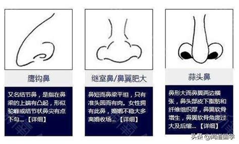 鼻毛太长面相|鼻相